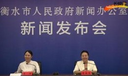 雷府最新爆料新闻报道,揭秘事件背后惊人真相！